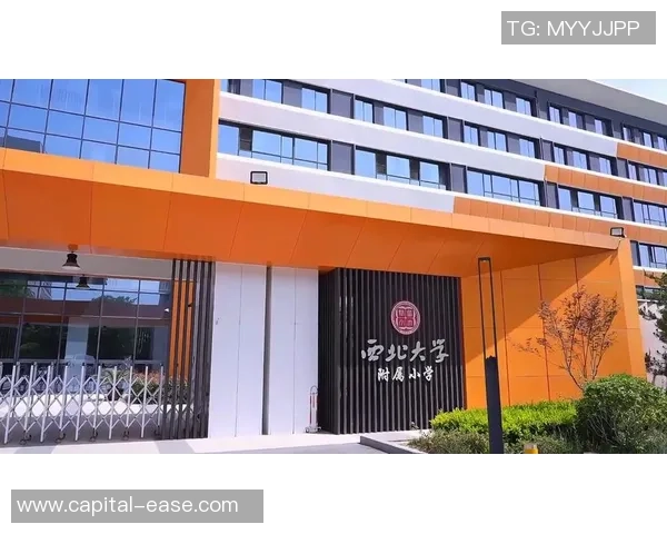 北京排球队在联合会杯中的拼搏历程与辉煌成就全景回顾